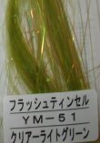 画像1: フラッシュティンセル　＃クリアーライトグリーン